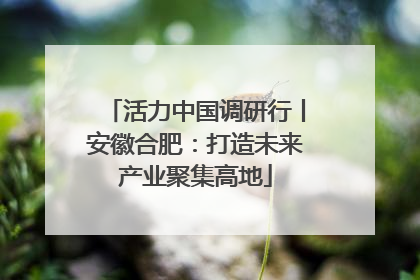 活力中国调研行丨安徽合肥：打造未来产业聚集高地