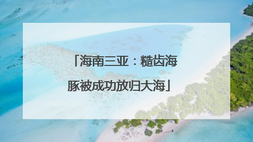 海南三亚：糙齿海豚被成功放归大海