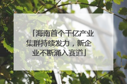 海南首个千亿产业集群持续发力，新企业不断涌入赛道