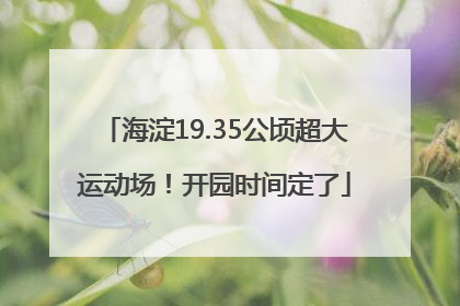 海淀19.35公顷超大运动场！开园时间定了