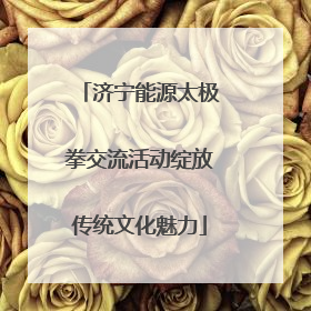 济宁能源太极拳交流活动绽放传统文化魅力