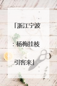 浙江宁波：杨梅挂枝引客来