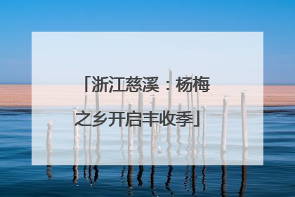 浙江慈溪：杨梅之乡开启丰收季