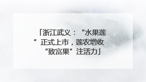 浙江武义：“水果莲”正式上市，莲农增收“致富果”注活力