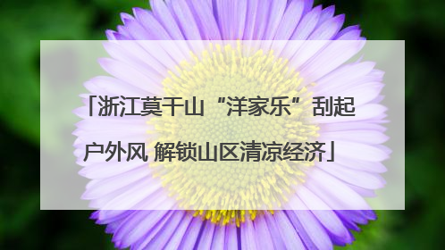 浙江莫干山“洋家乐”刮起户外风 解锁山区清凉经济