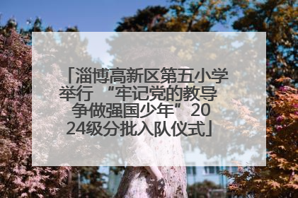 淄博高新区第五小学举行 “牢记党的教导 争做强国少年”2024级分批入队仪式
