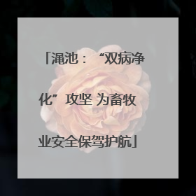 渑池：“双病净化”攻坚 为畜牧业安全保驾护航