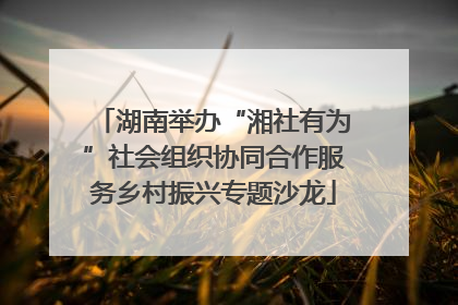 湖南举办“湘社有为”社会组织协同合作服务乡村振兴专题沙龙