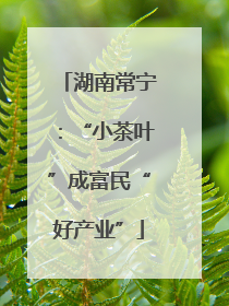 湖南常宁：“小茶叶”成富民“好产业”