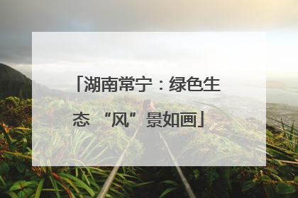 湖南常宁：绿色生态 “风”景如画