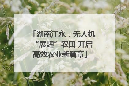 湖南江永：无人机“展翅”农田 开启高效农业新篇章