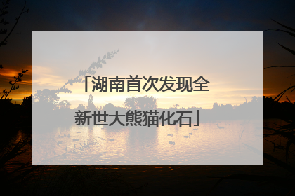湖南首次发现全新世大熊猫化石