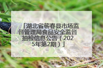 湖北省蕲春县市场监督管理局食品安全监督抽检信息公告（2025年第2期）
