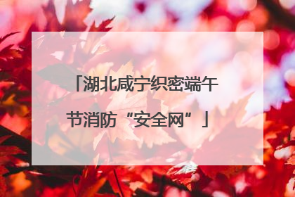 湖北咸宁织密端午节消防“安全网”
