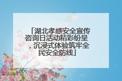 湖北孝感安全宣传咨询日活动精彩纷呈，沉浸式体验筑牢全民安全防线