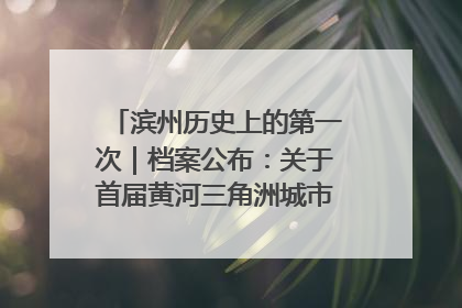滨州历史上的第一次｜档案公布：关于首届黄河三角洲城市经济博览会暨发展论坛情况的总结报告