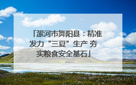 漯河市舞阳县：精准发力“三夏”生产 夯实粮食安全基石