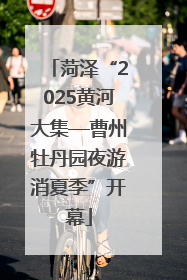 菏泽“2025黄河大集—曹州牡丹园夜游消夏季”开幕