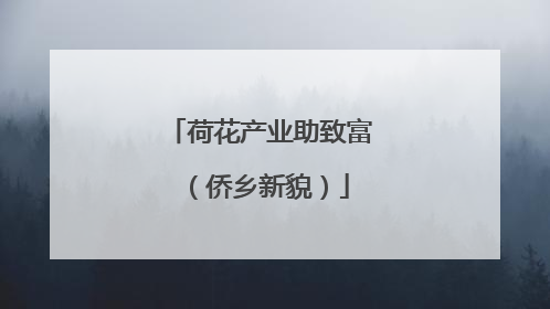 荷花产业助致富（侨乡新貌）