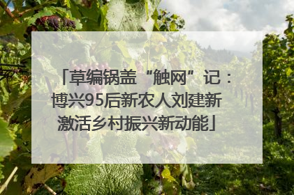草编锅盖“触网”记：博兴95后新农人刘建新激活乡村振兴新动能