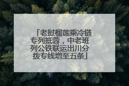 老挝榴莲乘冷链专列抵蓉，中老班列公铁联运出川分拨专线增至五条