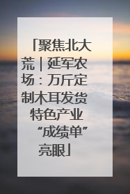 聚焦北大荒｜延军农场：万斤定制木耳发货 特色产业“成绩单”亮眼