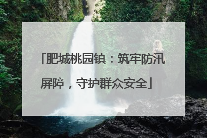 肥城桃园镇：筑牢防汛屏障，守护群众安全