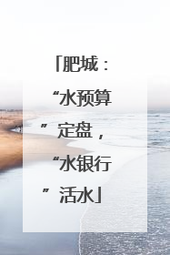 肥城：“水预算”定盘，“水银行”活水
