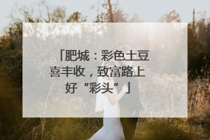 肥城：彩色土豆喜丰收，致富路上好“彩头”