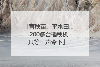 育秧苗、平水田……200多台插秧机只等一声令下