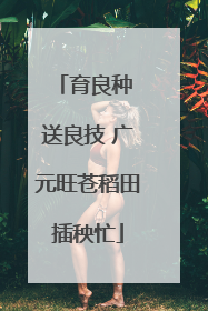 育良种 送良技 广元旺苍稻田插秧忙