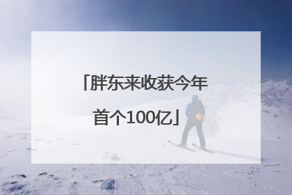 胖东来收获今年首个100亿