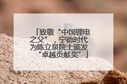 致敬“中国锂电之父”，宁德时代为陈立泉院士颁发“卓越贡献奖”