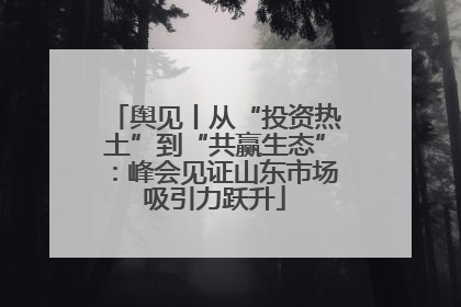 舆见丨从“投资热土”到“共赢生态”：峰会见证山东市场吸引力跃升