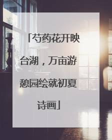 芍药花开映台湖，万亩游憩园绘就初夏诗画