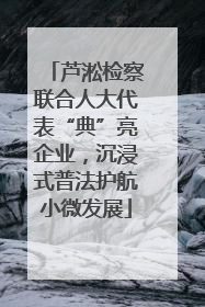 芦淞检察联合人大代表“典”亮企业，沉浸式普法护航小微发展