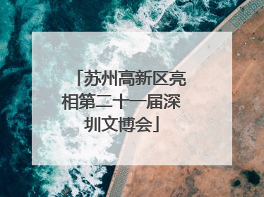 苏州高新区亮相第二十一届深圳文博会
