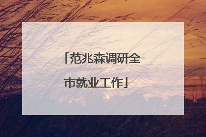 范兆森调研全市就业工作