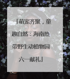 萌宠齐聚，童趣自然：海南热带野生动植物园六一献礼