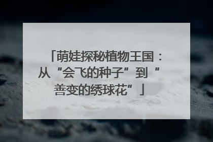萌娃探秘植物王国：从“会飞的种子”到“善变的绣球花”