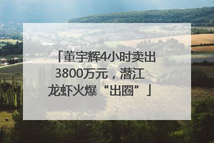 董宇辉4小时卖出3800万元，潜江龙虾火爆“出圈”