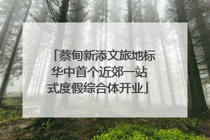 蔡甸新添文旅地标 华中首个近郊一站式度假综合体开业