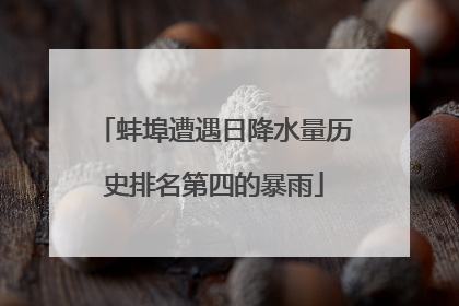蚌埠遭遇日降水量历史排名第四的暴雨