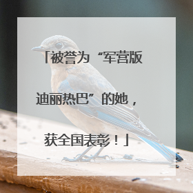 被誉为“军营版迪丽热巴”的她，获全国表彰！