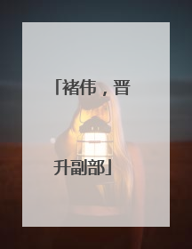 褚伟，晋升副部