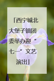 西宁城北大堡子镇团委举办迎“七一”文艺演出