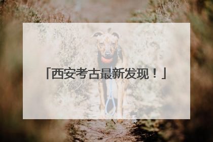 西安考古最新发现！