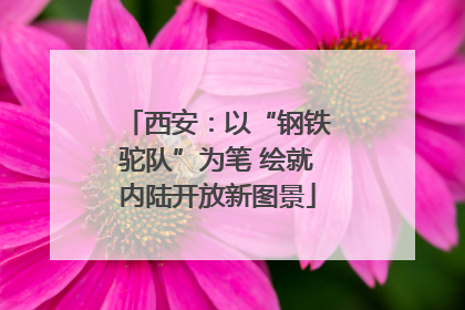 西安：以“钢铁驼队”为笔 绘就内陆开放新图景