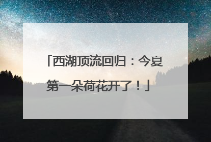 西湖顶流回归：今夏第一朵荷花开了！