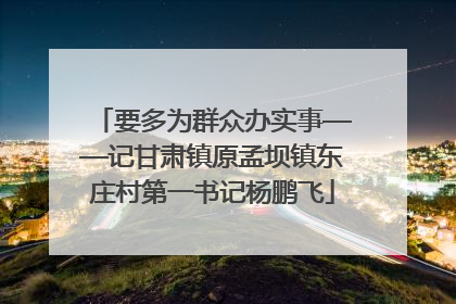 要多为群众办实事——记甘肃镇原孟坝镇东庄村第一书记杨鹏飞